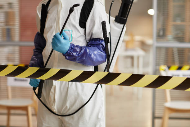 Professional Hoarding Cleanup technician working in Twin Mountain, NH